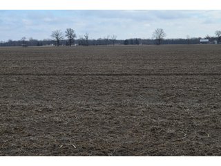 Property photo 48 - 173 +/- Acres Offered in 3 Tracts - Ohio Farmland